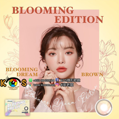 Blooming Dream Brown 블루밍드림 브라운(月拋)